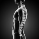 Improve Posture With These Three Movements
